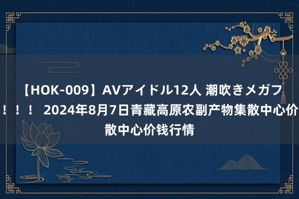 【HOK-009】AVアイドル12人 潮吹きメガファック!!! 2024年8月7日青藏高原农副产物集散中心价钱行情