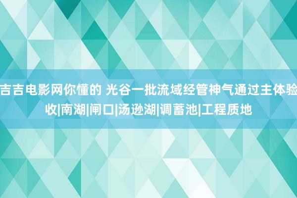 吉吉电影网你懂的 光谷一批流域经管神气通过主体验收|南湖|闸口|汤逊湖|调蓄池|工程质地