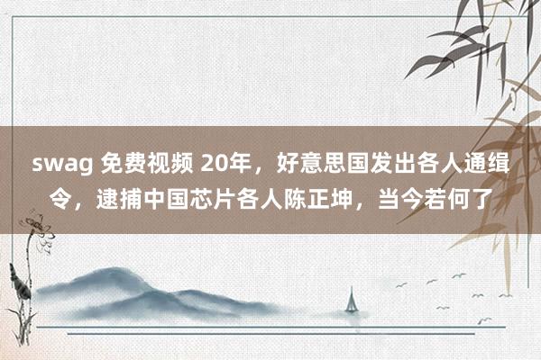 swag 免费视频 20年，好意思国发出各人通缉令，逮捕中国芯片各人陈正坤，当今若何了