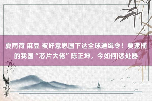 夏雨荷 麻豆 被好意思国下达全球通缉令！要逮捕的我国“芯片大佬”陈正坤，今如何|惩处器